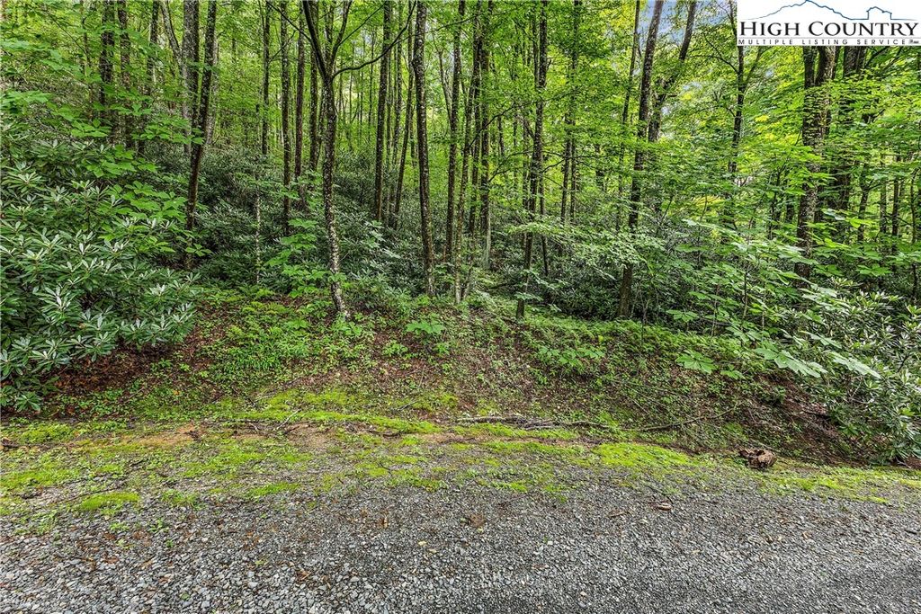 Photo of TBD Black Bear Trail, Blowing Rock, NC 28605 (MLS # 259083)