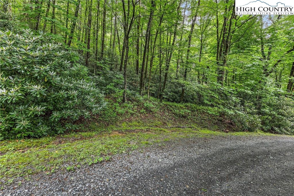 Photo of TBD Black Bear Trail, Blowing Rock, NC 28605 (MLS # 259083)