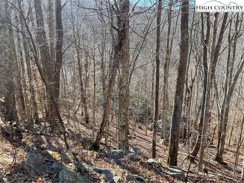 Photo of 104 Wintercrest Lane, Beech Mountain, NC 28604 (MLS # 259750)