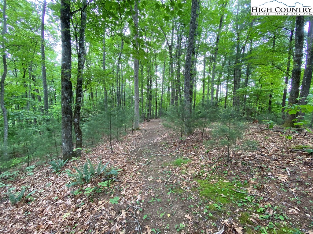 Fleetwood, North Carolina 28626, United States, 2 Bedrooms Bedrooms, ,2 BathroomsBathrooms,Residential,Active,189841