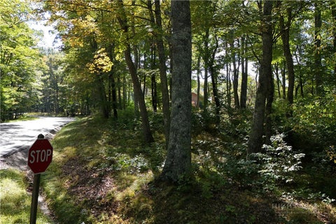 Vacant Land For Sale - LOT 42 Rock Spring Circle<br/> Sugar Mountain, NC 28604
