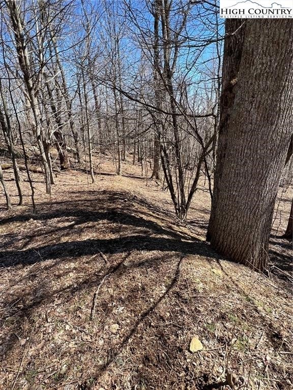 TBD Nettles Ridge #31