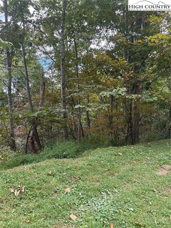 TBD Nettles Ridge #31
