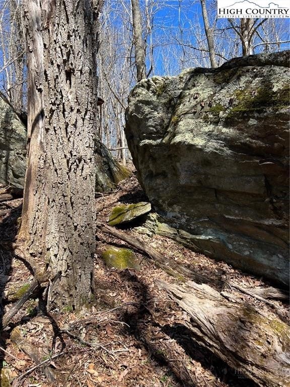 TBD Nettles Ridge #31