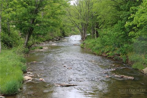Photo of TBD Big Laurel Road, Creston, NC 28615 (MLS # 252600)