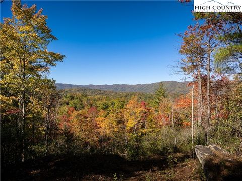 Photo of 255 Red Cedar Road, Boone, NC 28607 (MLS # 258821)
