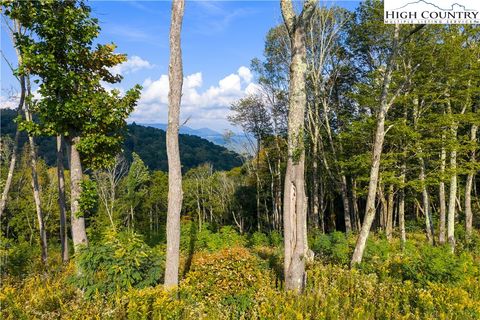 Photo of 146 Banner Glade Trail, Banner Elk, NC 28604 (MLS # 258240)