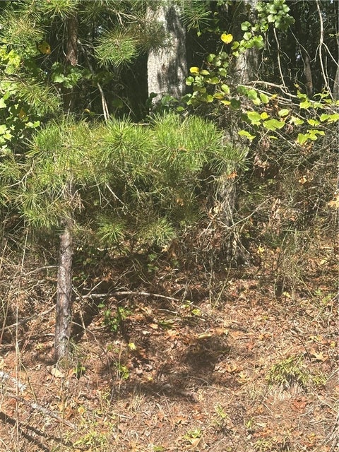 Photo of Lot 6 Saint Andrews Drive, North Wilkesboro, NC 28659 (MLS # 264939)
