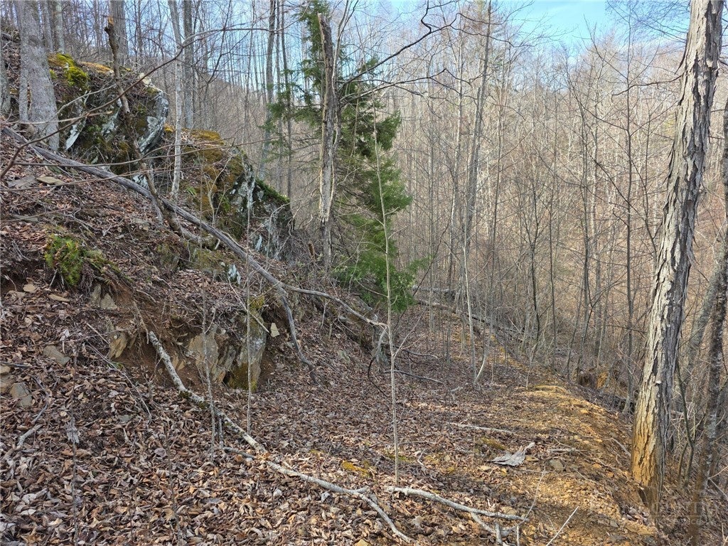 TBD Off Tom Pless Road
