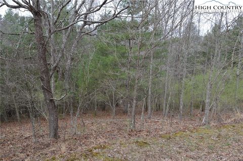 Photo of Lot #9 Isabel Way, Piney Creek, NC 28663 (MLS # 260470)