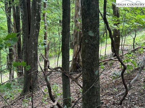 Photo of Lot 648 Longview Ln or Merrywood Drive, West Jefferson, NC 28694 (MLS # 258277)