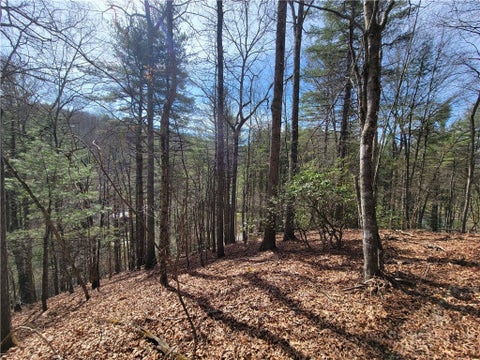 Photo of TBD (Lot 72) Creekside Meadows Drive, Fleetwood, NC 28626 (MLS # 263259)