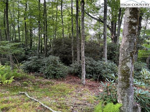 Photo of Lot 3 & 4 Fieldstone Hts Drive, Blowing Rock, NC 28605 (MLS # 251807)