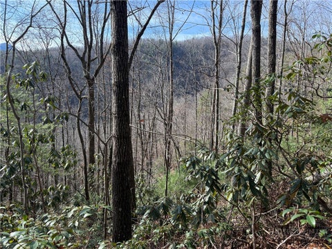 Vacant Land For Sale - TBD Little Rock Canyon Road<br/> Caldwell County, Lenoir, NC 28645