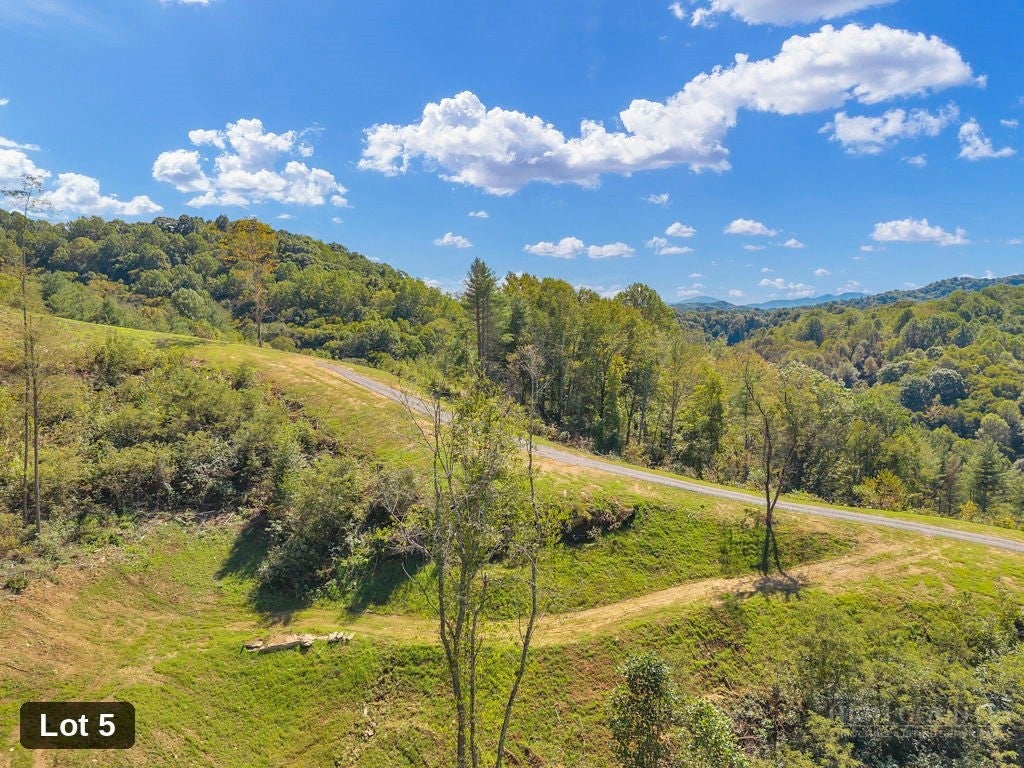 Lot 5 Horseshoe Trail