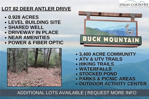 128 DEER ANTLER DR, PURLEAR, NC 28665 - Image 2b26df5dc380bbf33ac0b5f8a160fe3b/2709118081