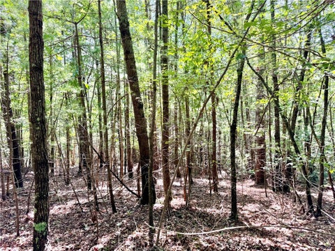 Photo of 3.31 acres, Lot 37 Poplar Bluff Drive, Lenoir, NC 28645 (MLS # 264521)