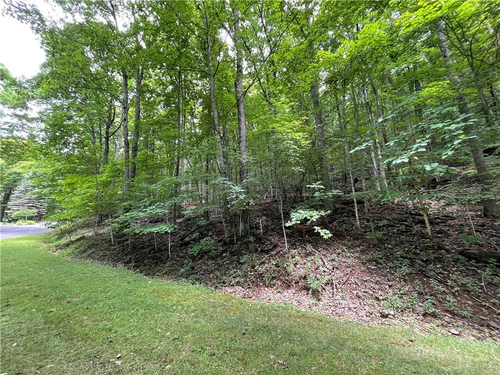 TBD Iron Wood Road
