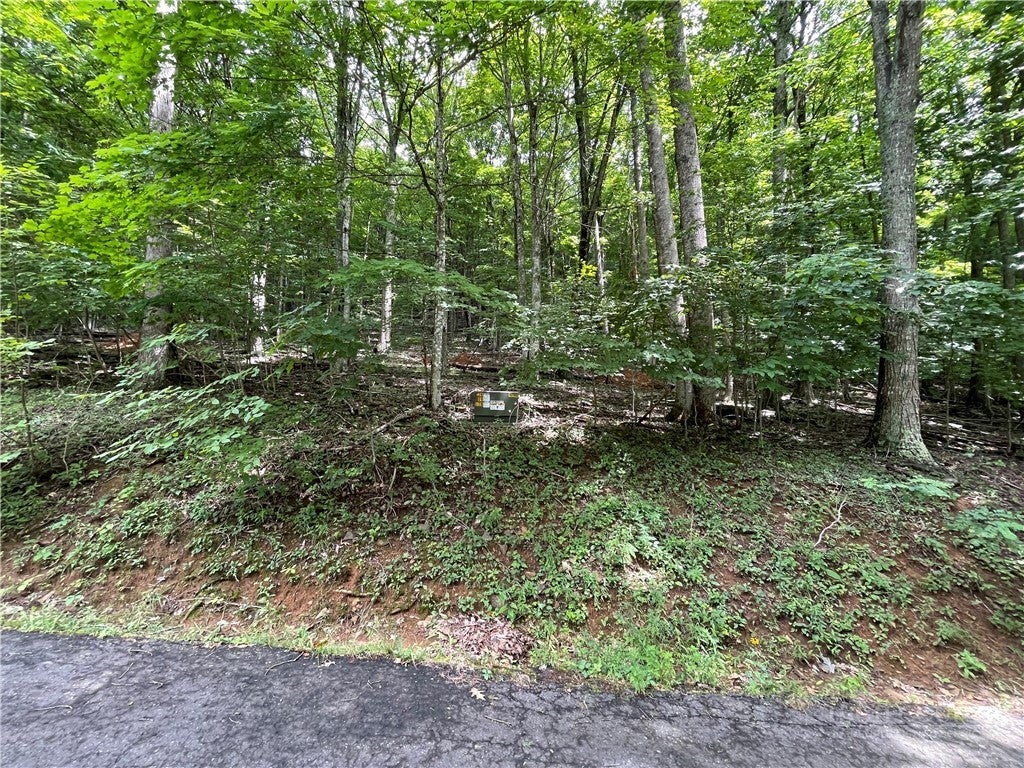 TBD Iron Wood Road