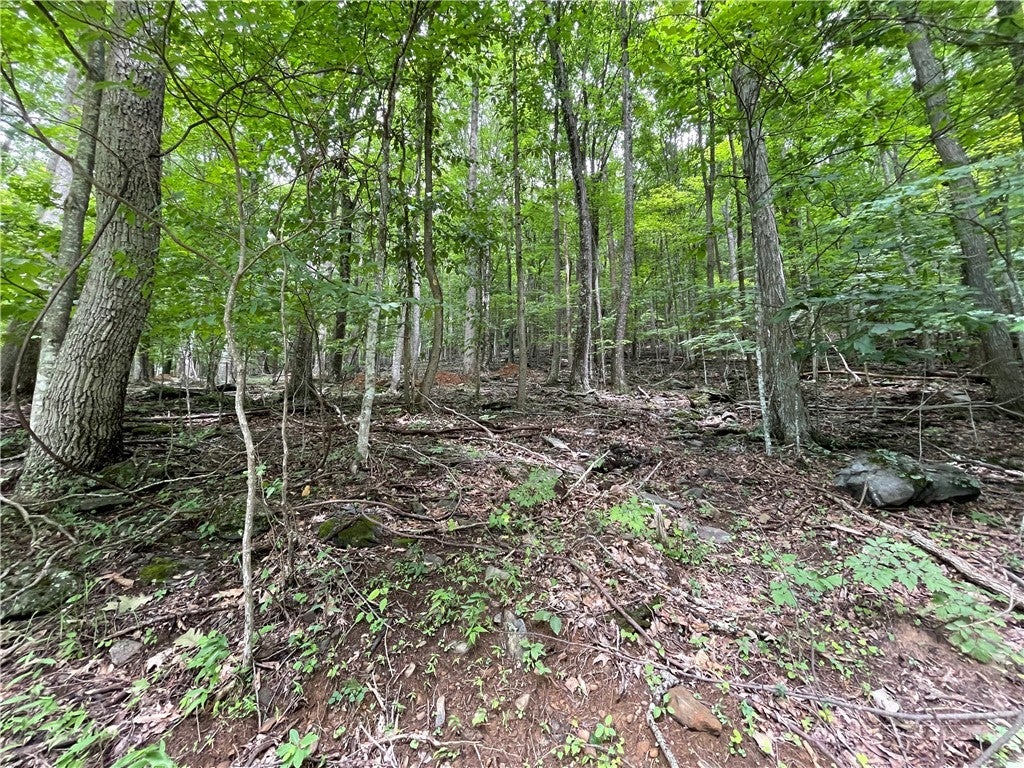 TBD Iron Wood Road
