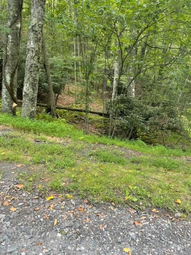 TBD LOT 23 Country Ridge Road