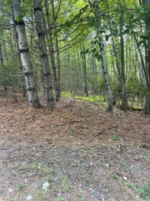 COUNTRY RIDGE RD, JEFFERSON, NC 28640 - Image 2c19ca10c34f6b753e5bfa4fb8509da7/2834647979