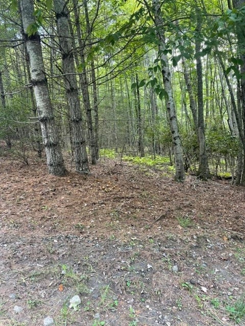 Vacant Land For Sale - TBD LOT 23 Country Ridge Road<br/> Jefferson, NC 28640