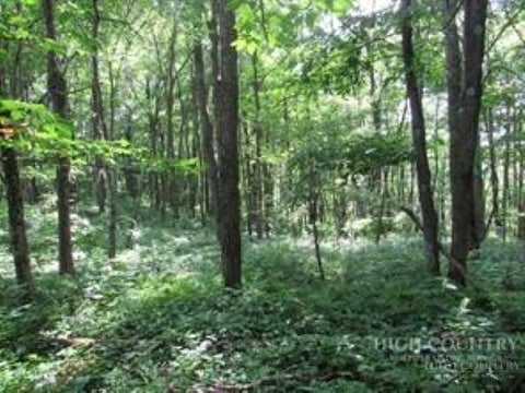 Photo of TBD LOT 23 Country Ridge Road, Jefferson, NC 28640 (MLS # 264048)