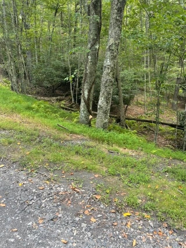 TBD LOT 23 Country Ridge Road