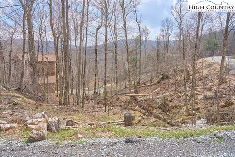 Photo of 101 Foxgrape Hollow Road, Beech Mountain, NC 28604 (MLS # 260799)