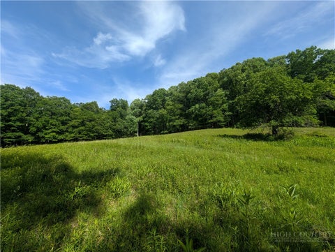 Vacant Land For Sale - TBD Bledsoe Creek Road<br/> Sparta, NC 28675