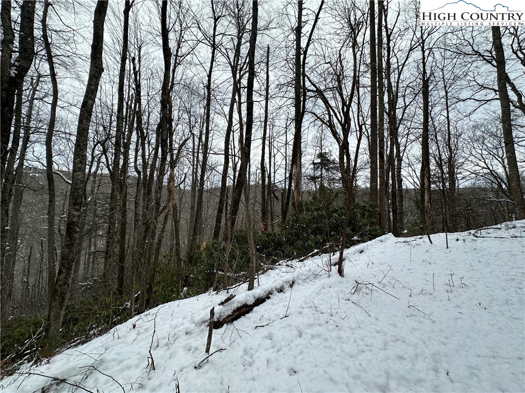 Boone, North Carolina 28607, United States, ,Land,Active,48890