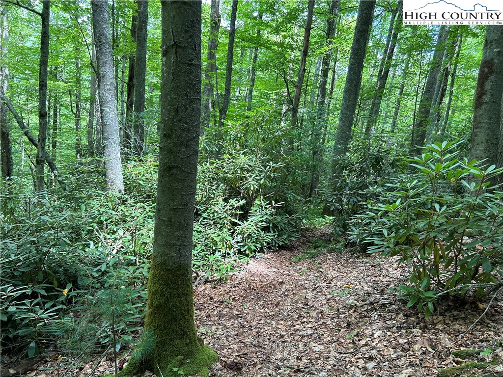 Boone, North Carolina 28607, United States, ,Land,Active,48890