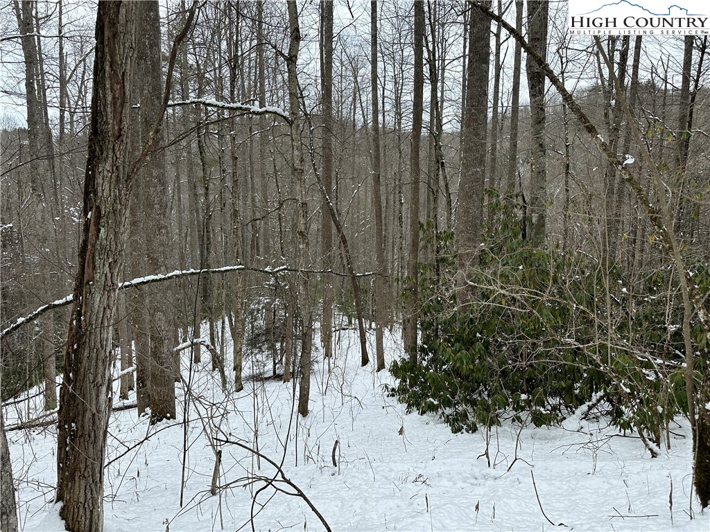 Boone, North Carolina 28607, United States, ,Land,Active,48890