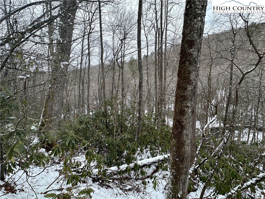 Boone, North Carolina 28607, United States, ,Land,Active,48890