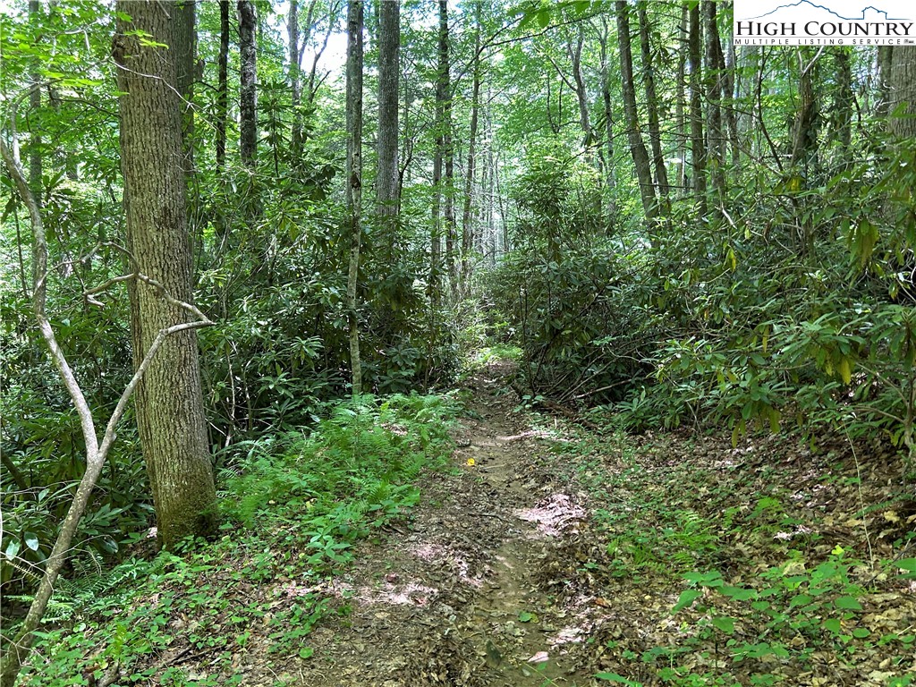 Boone, North Carolina 28607, United States, ,Land,Active,48890