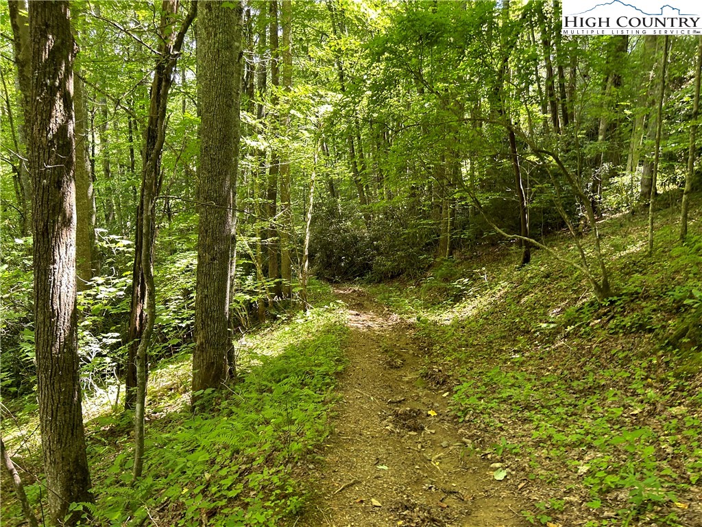 Boone, North Carolina 28607, United States, ,Land,Active,48890