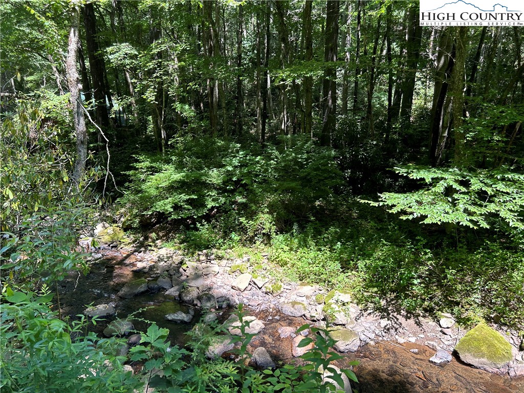 Boone, North Carolina 28607, United States, ,Land,Active,48890