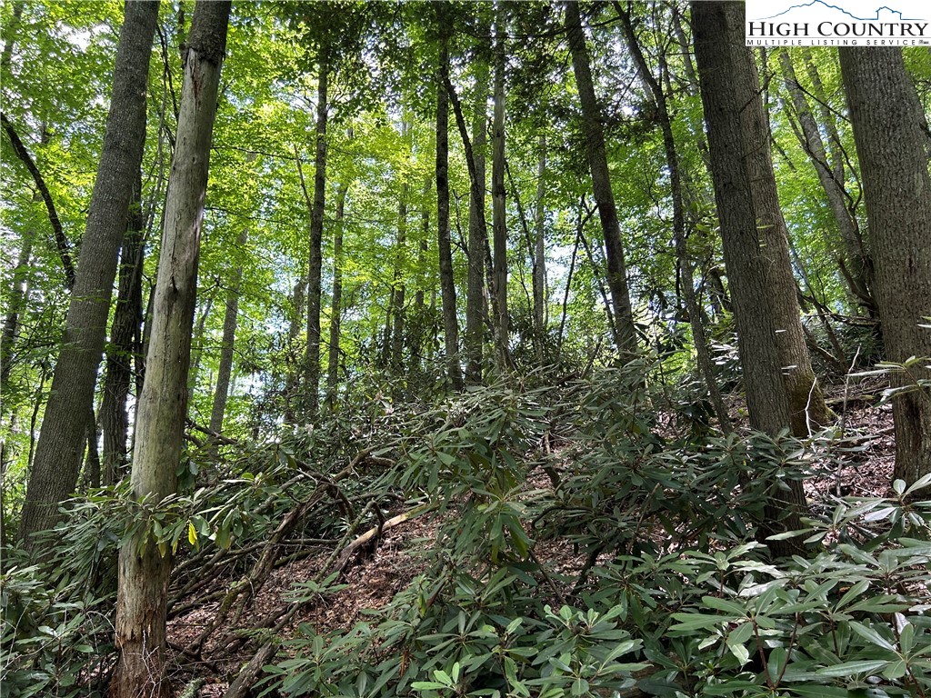 Boone, North Carolina 28607, United States, ,Land,Active,48890