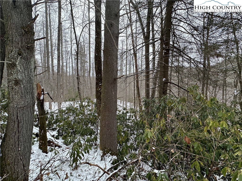 Boone, North Carolina 28607, United States, ,Land,Active,48890