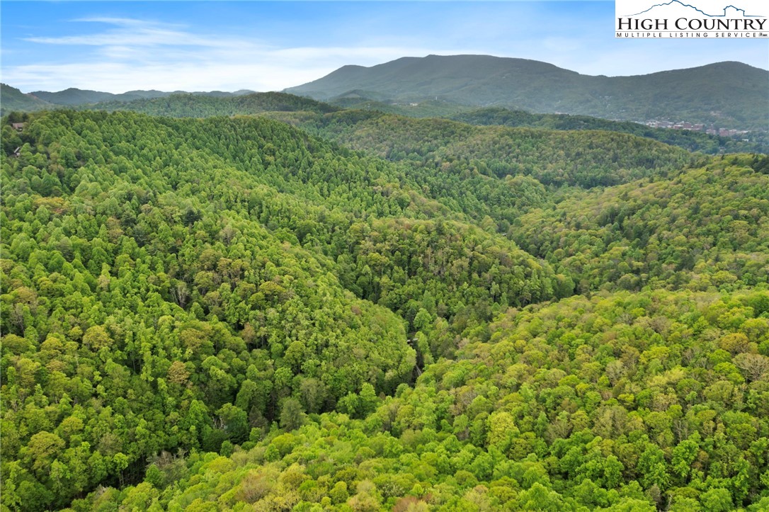 Boone, North Carolina 28607, United States, ,Land,Active,48890