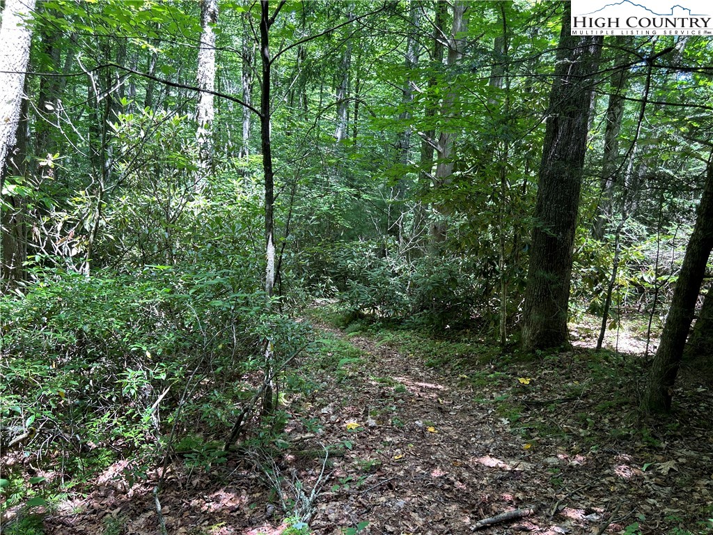 Boone, North Carolina 28607, United States, ,Land,Active,48890