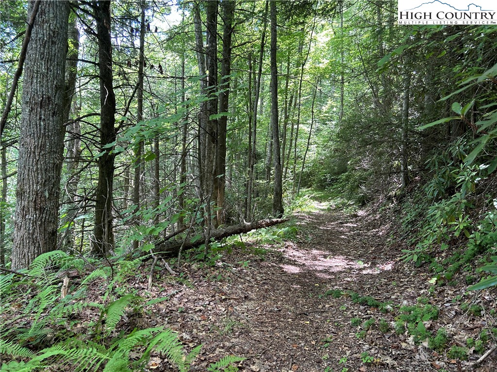 Boone, North Carolina 28607, United States, ,Land,Active,48890