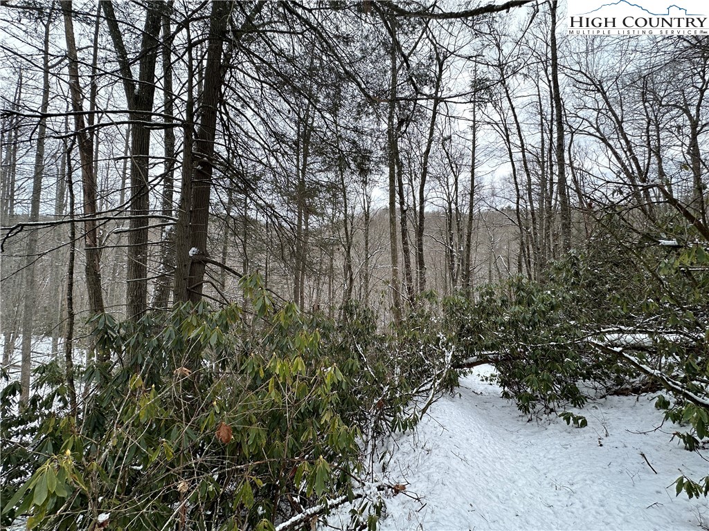 Boone, North Carolina 28607, United States, ,Land,Active,48890