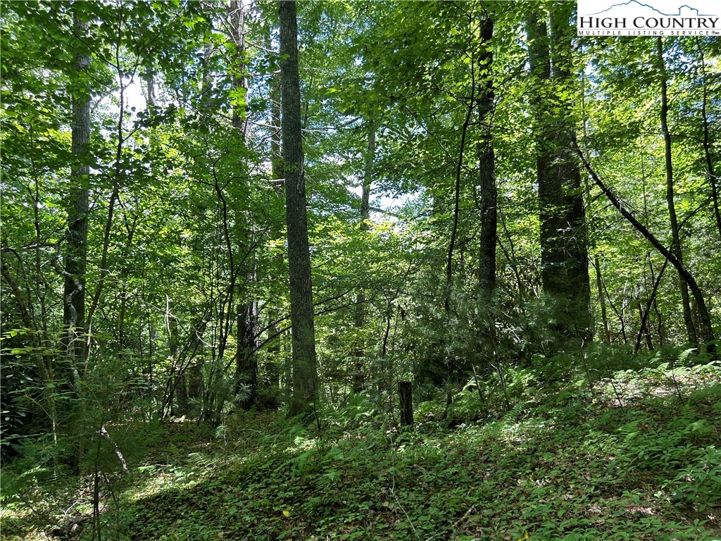 Boone, North Carolina 28607, United States, ,Land,Active,48890