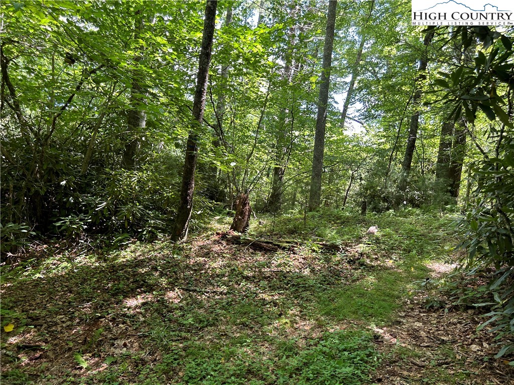 Boone, North Carolina 28607, United States, ,Land,Active,48890