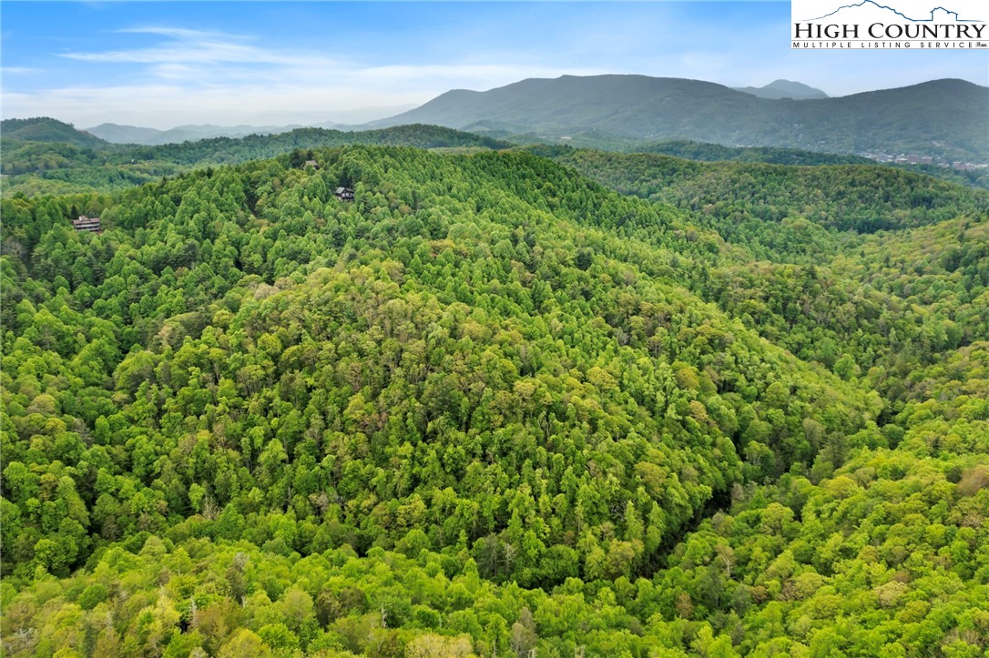 Boone, North Carolina 28607, United States, ,Land,Active,48890