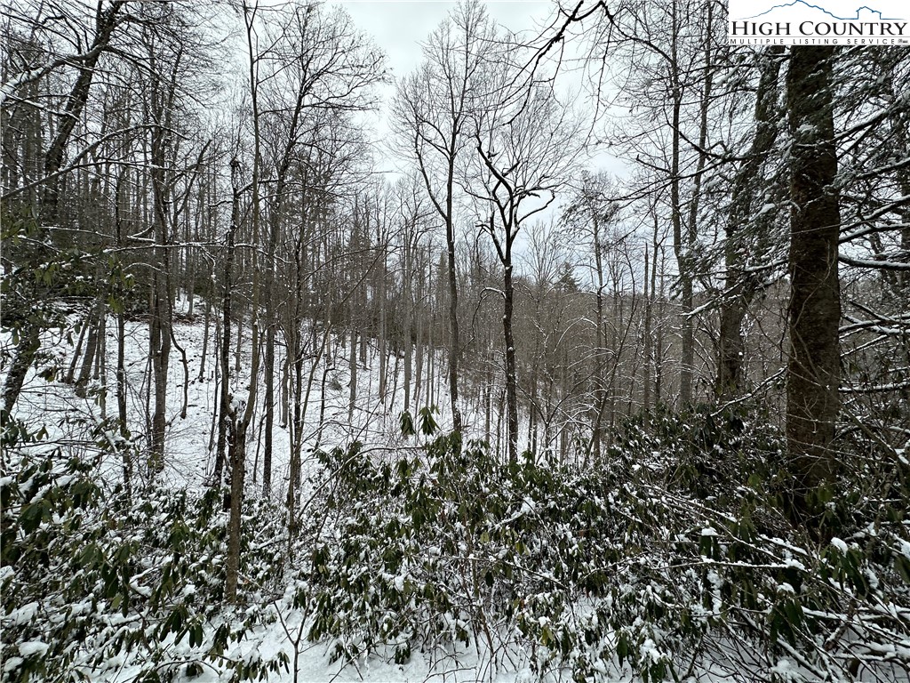 Boone, North Carolina 28607, United States, ,Land,Active,48890