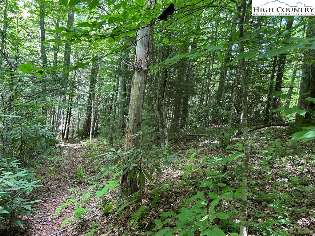 Boone, North Carolina 28607, United States, ,Land,Active,48890