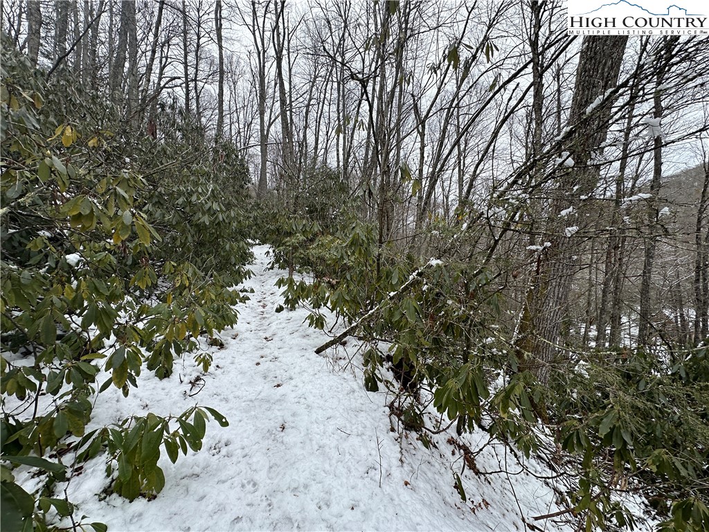 Boone, North Carolina 28607, United States, ,Land,Active,48890